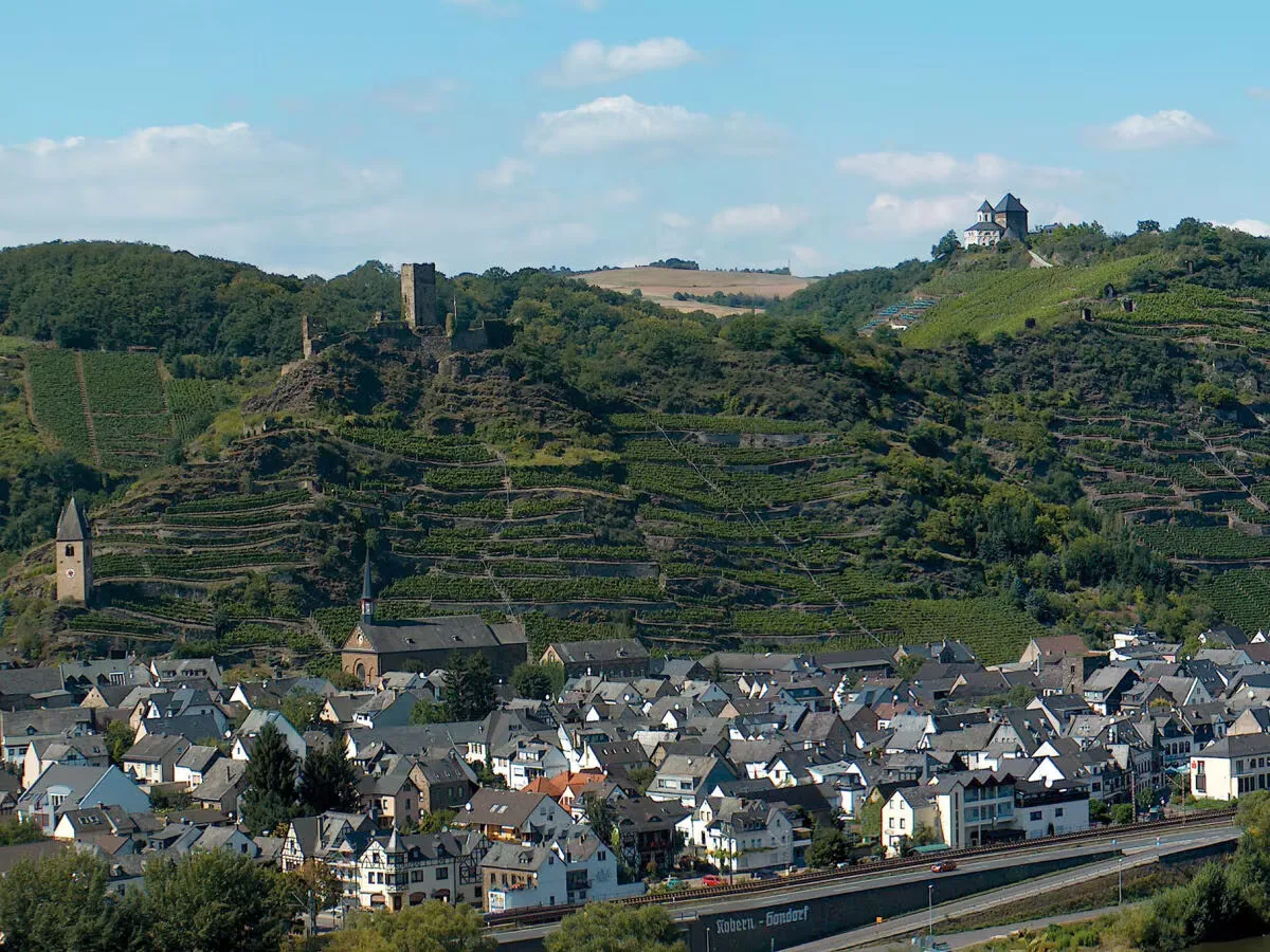Weinberge von Weingut Dötsch-Haupt in Kobern